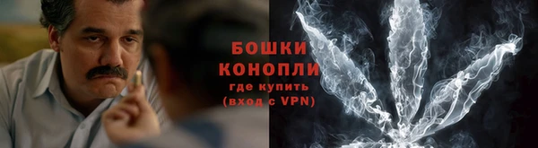 дурь Арсеньев