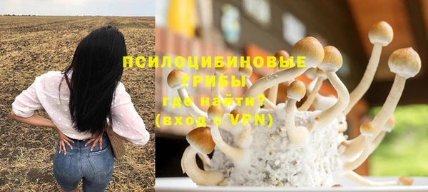а пвп мука Армянск